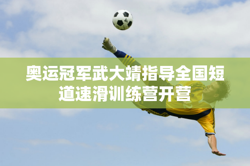 国家队的射
